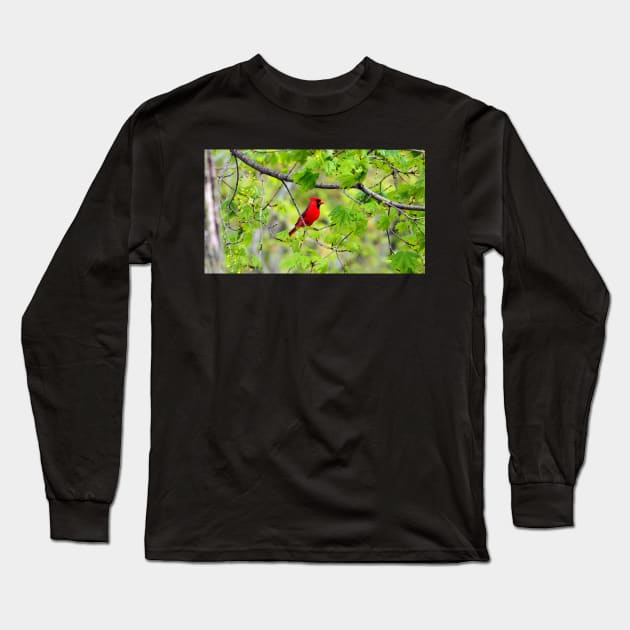 Northern Red Cardinal Sitting In A Tree Long Sleeve T-Shirt by BackyardBirder